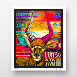 Wojciech Brewka - Catch me if you can