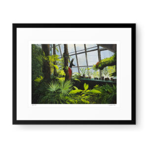 Joanna Karpowicz - Journey Through The Secret Life of Plants