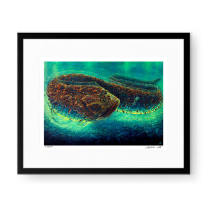 Sebastian Moń - Untitled | 59