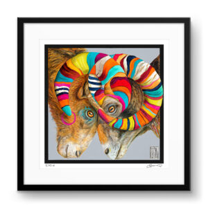 Wojciech Brewka - Support